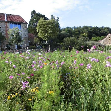Vineyard Garden Studio Mont-Saint-Jean (Cote-d'Or) Exterior foto