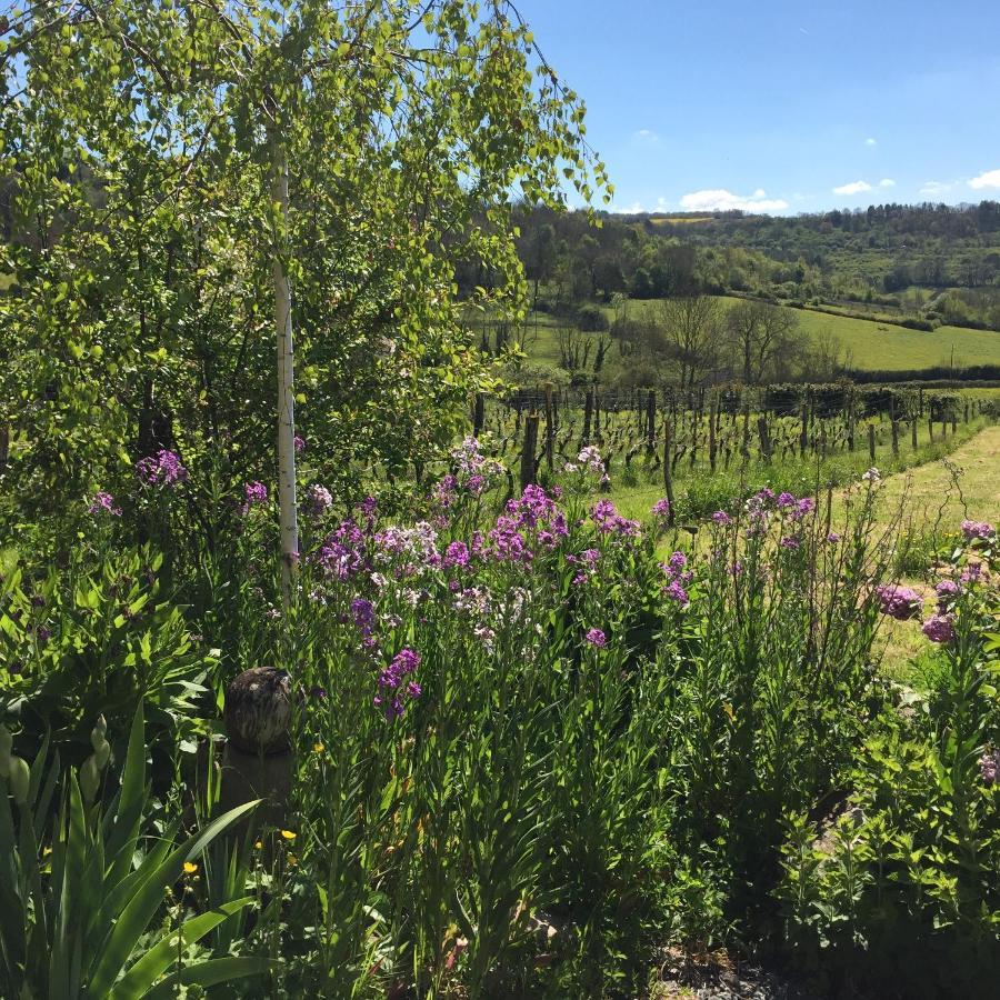 Vineyard Garden Studio Mont-Saint-Jean (Cote-d'Or) Exterior foto