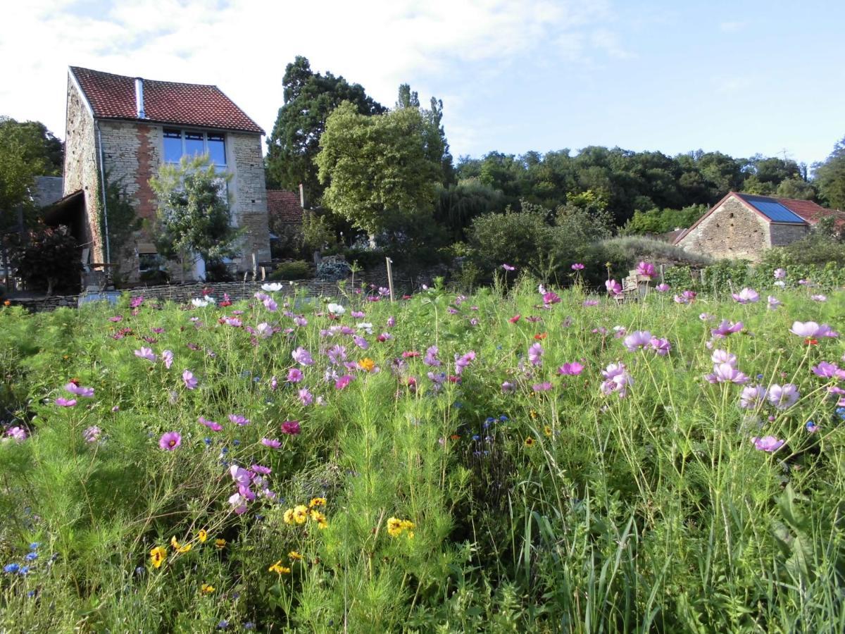 Vineyard Garden Studio Mont-Saint-Jean (Cote-d'Or) Exterior foto