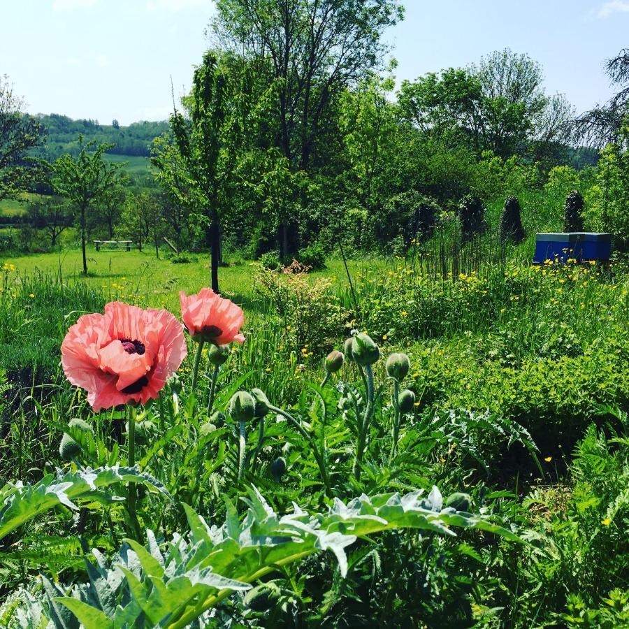 Vineyard Garden Studio Mont-Saint-Jean (Cote-d'Or) Exterior foto
